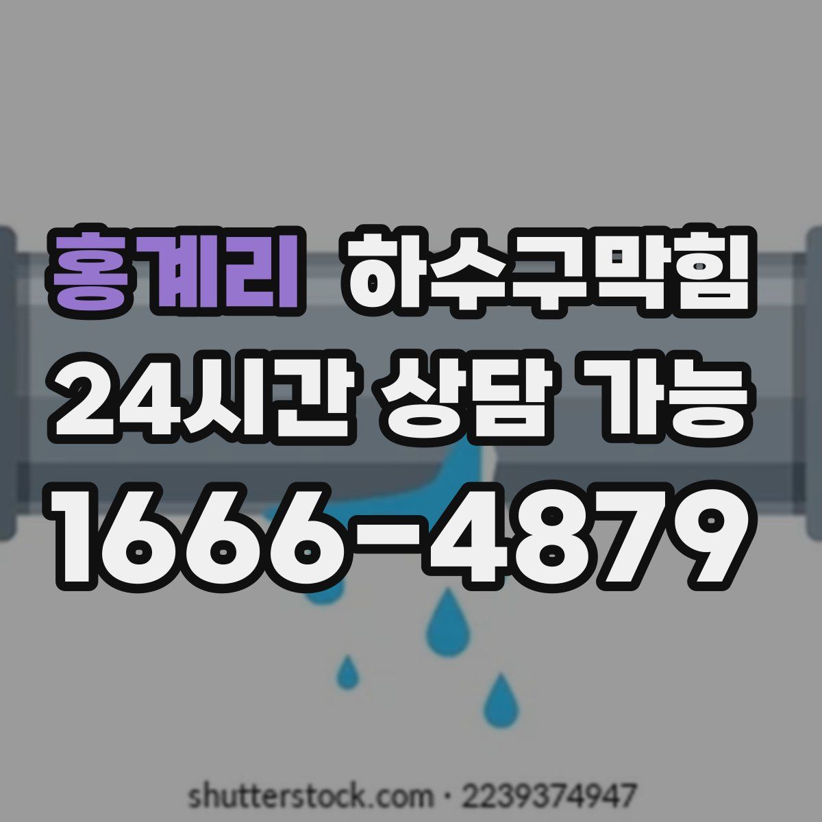 홍계리 하수구막힘