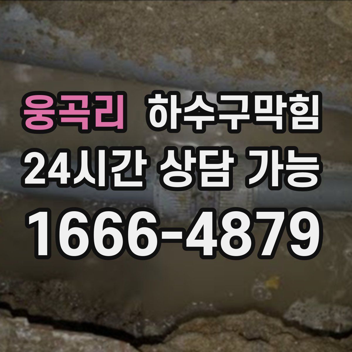 웅곡리 하수구막힘