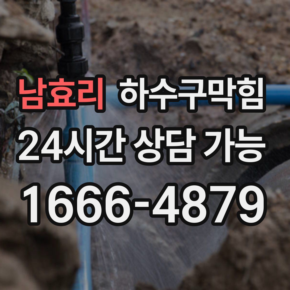 남효리 하수구막힘