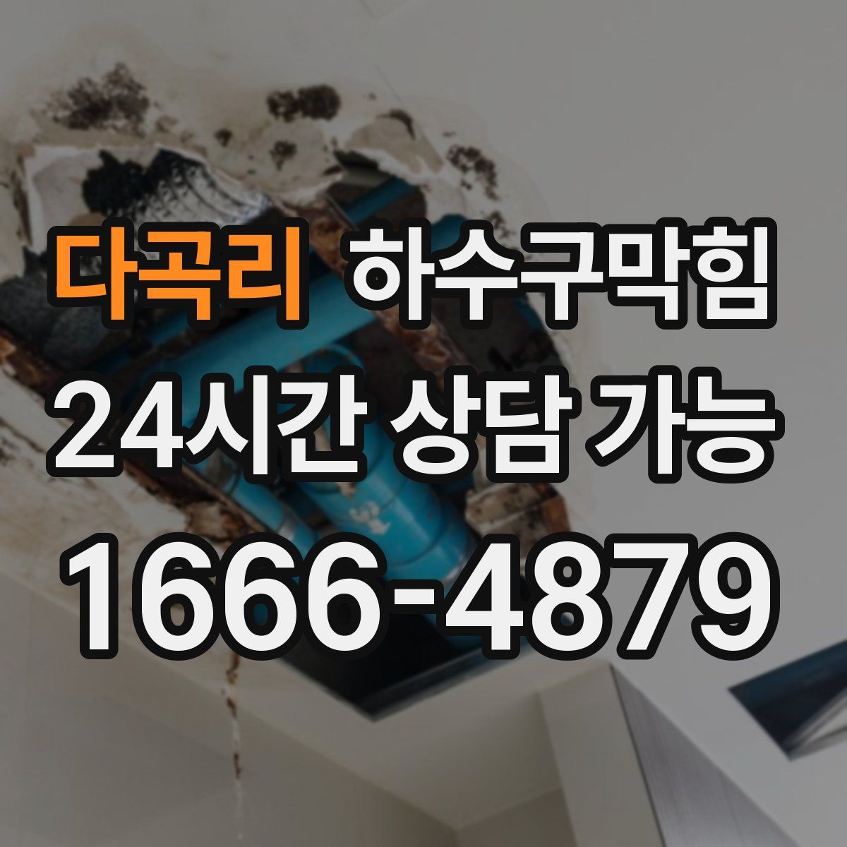 다곡리 하수구막힘