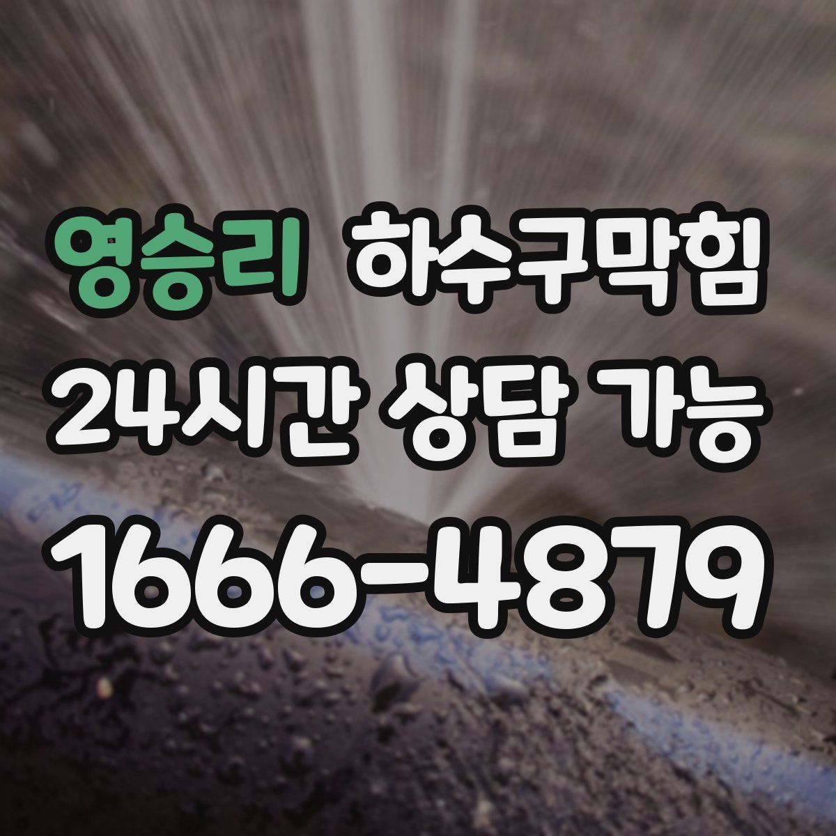 영승리 하수구막힘