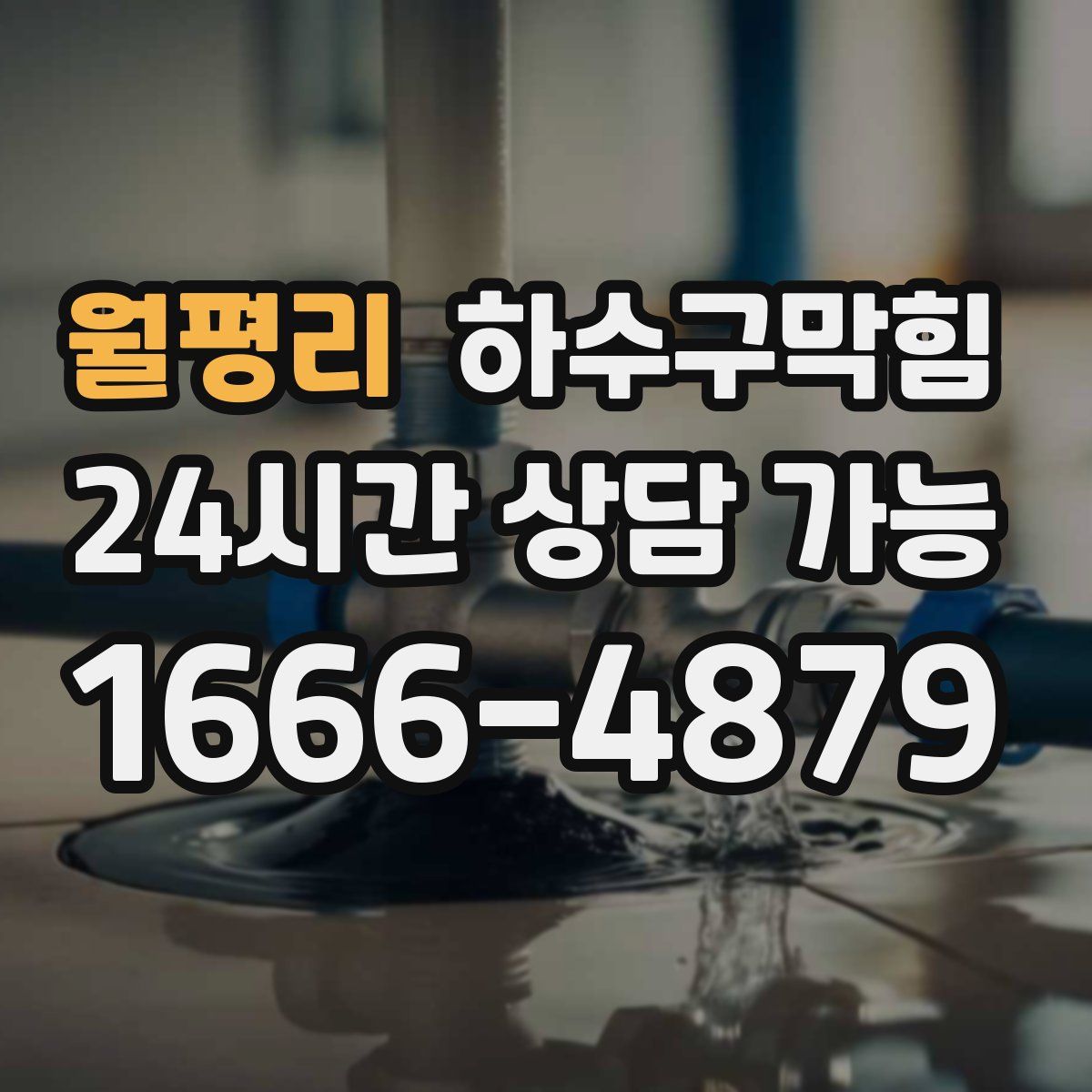 월평리 하수구막힘