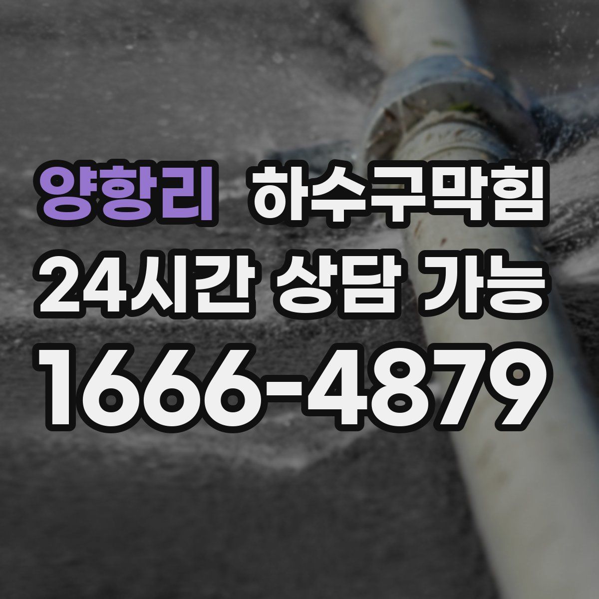 양항리 하수구막힘