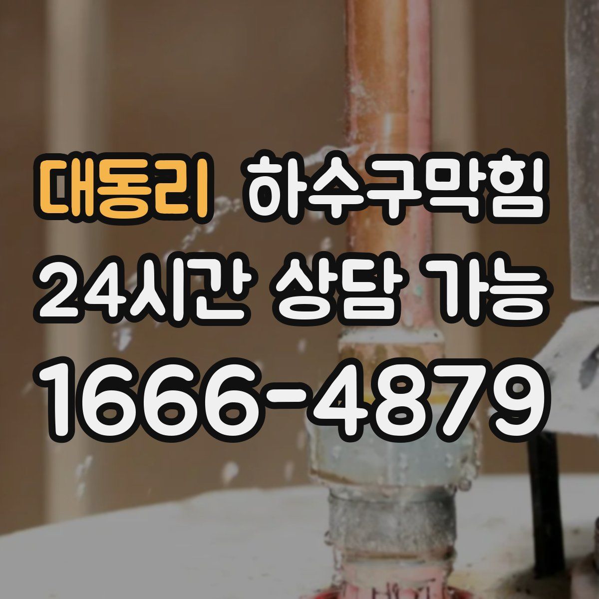 대동리 하수구막힘