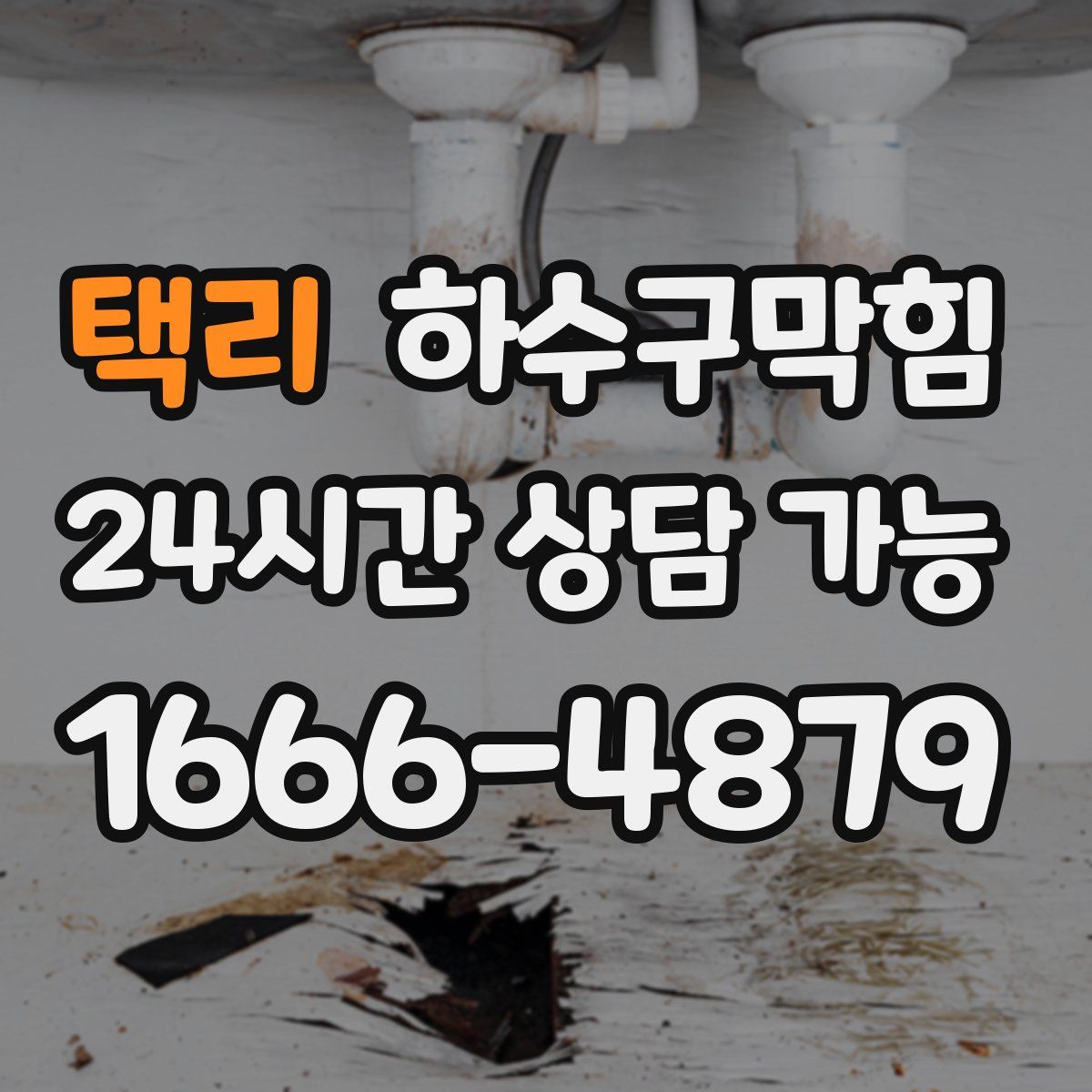 택리 하수구막힘