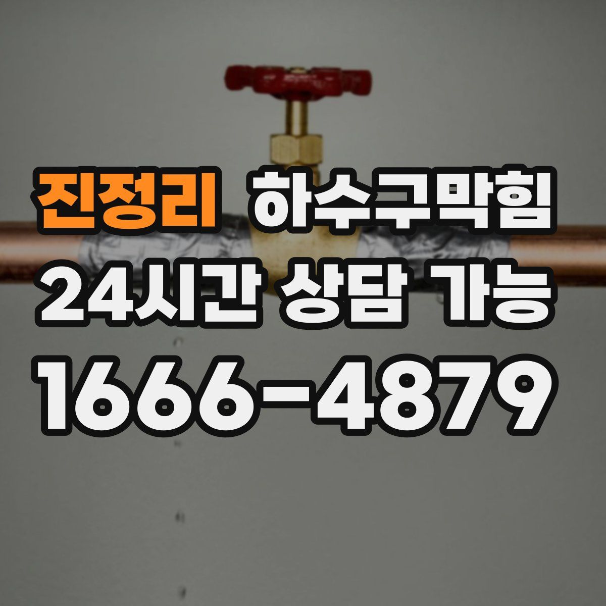 진정리 하수구막힘