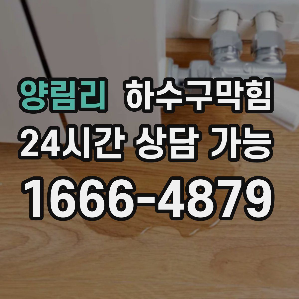 양림리 하수구막힘