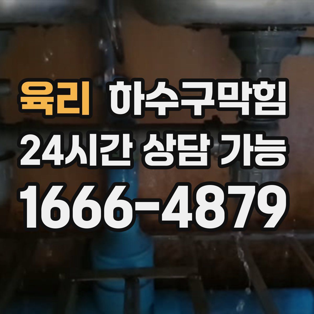 육리 하수구막힘