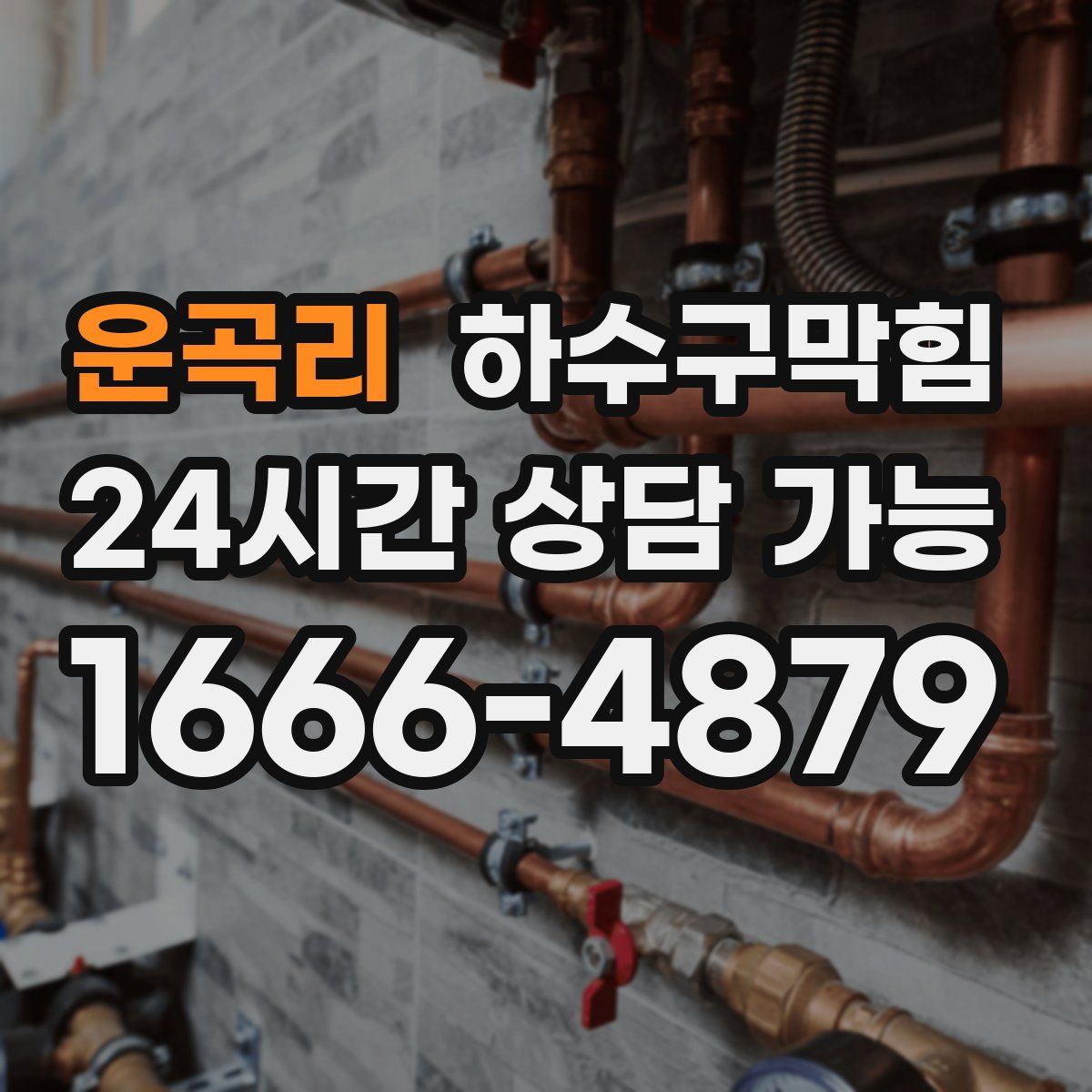 운곡리 하수구막힘