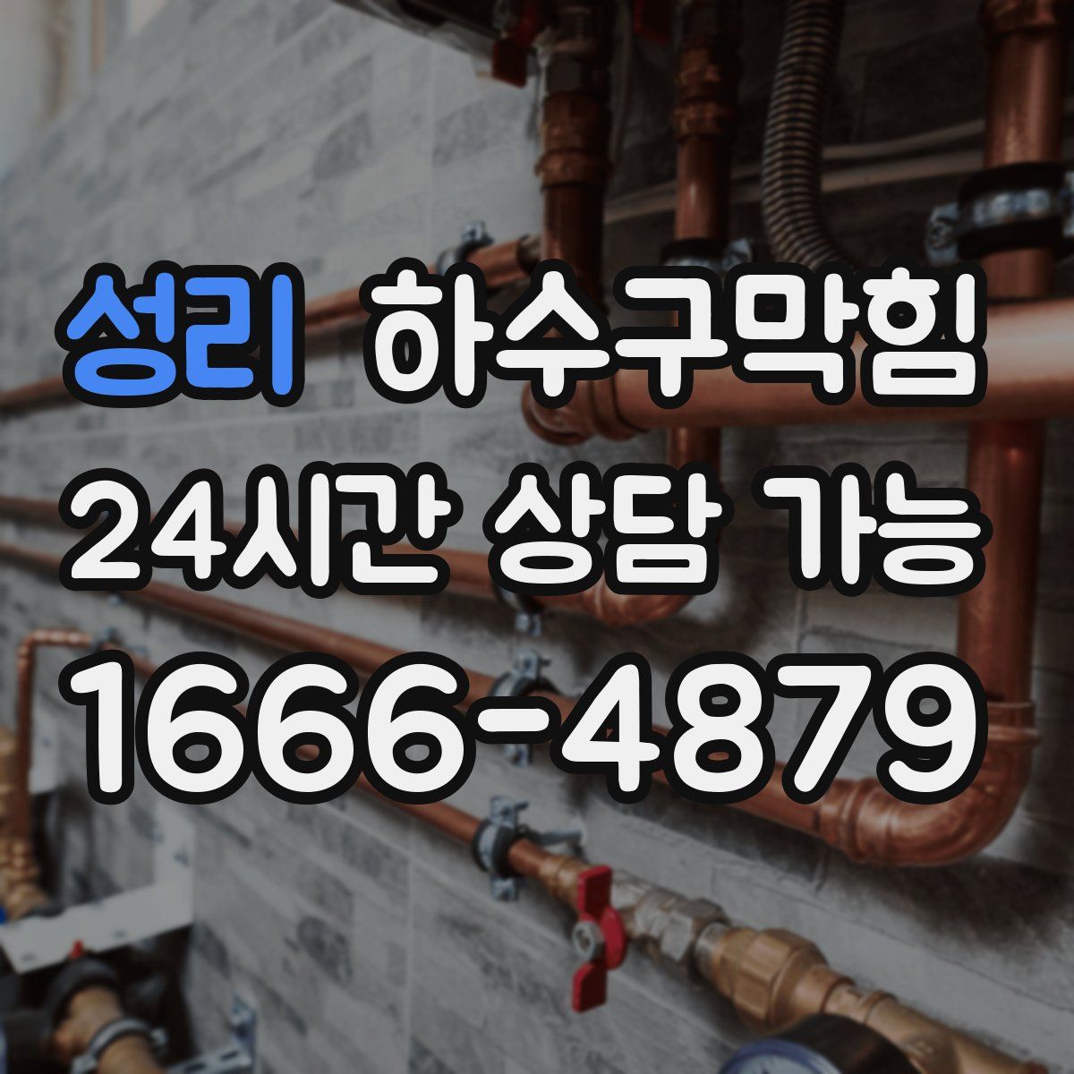 성리 하수구막힘