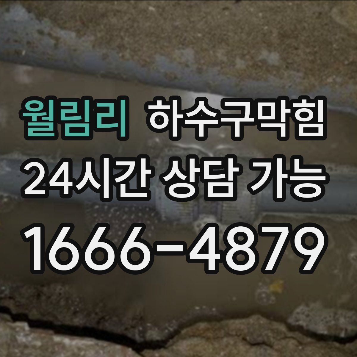 월림리 하수구막힘