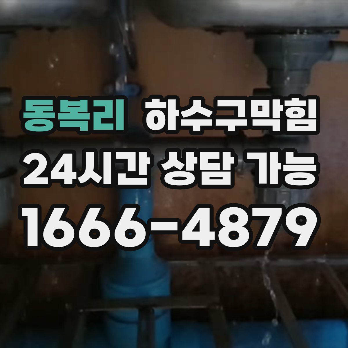 동복리 하수구막힘