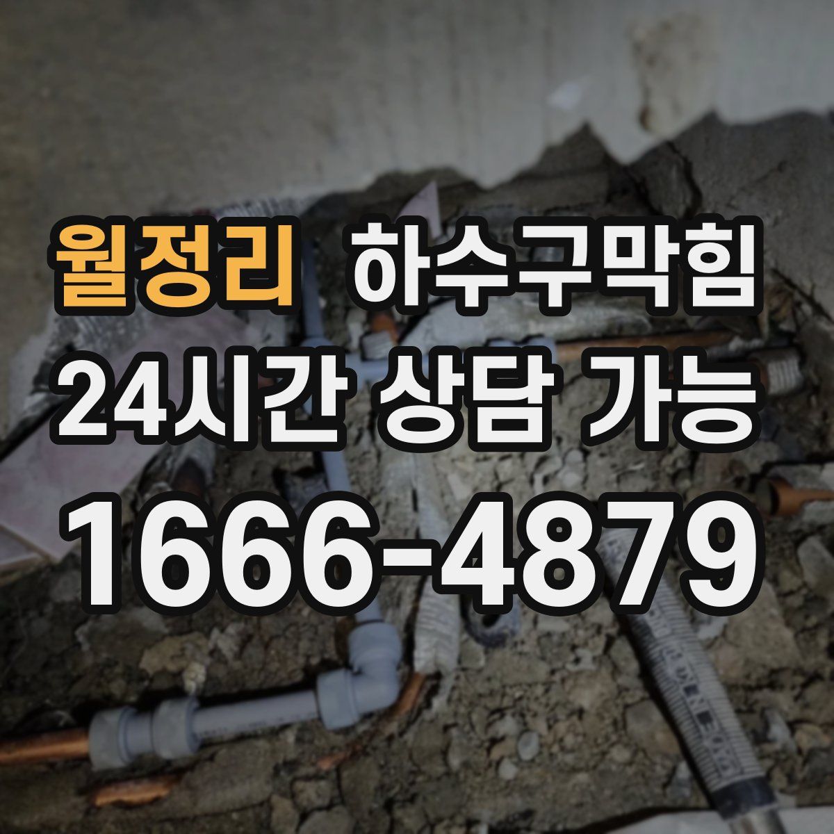 월정리 하수구막힘