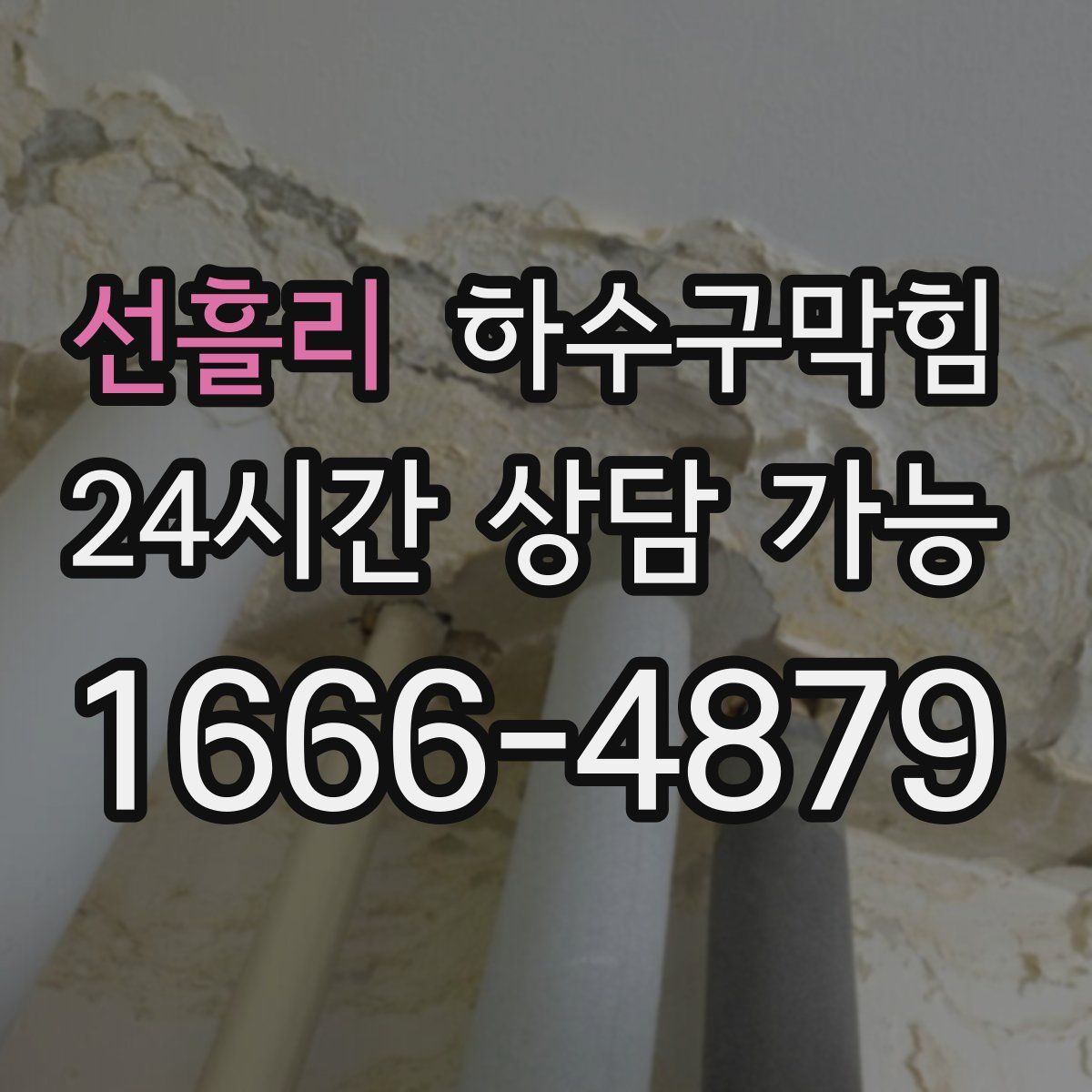 선흘리 하수구막힘