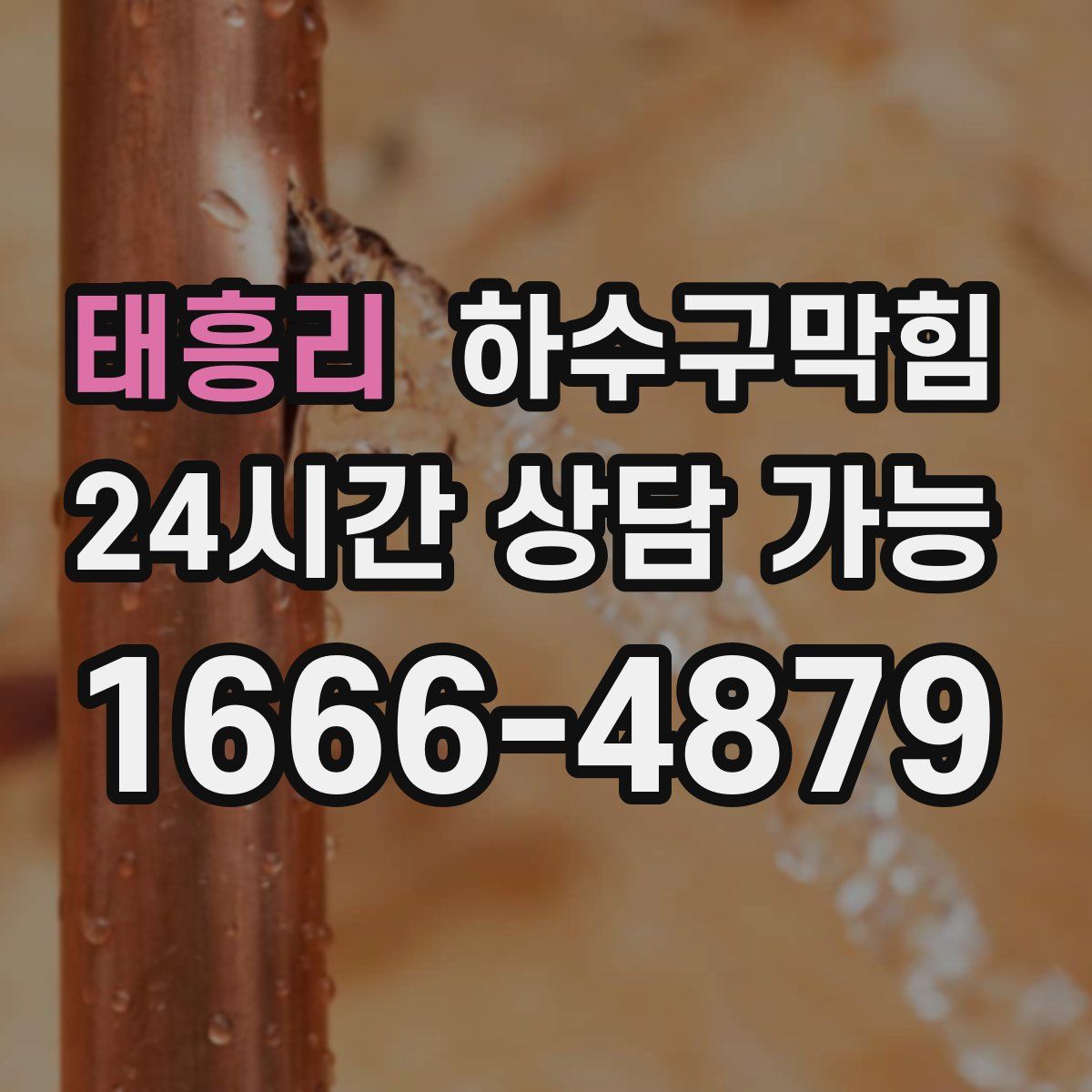 태흥리 하수구막힘