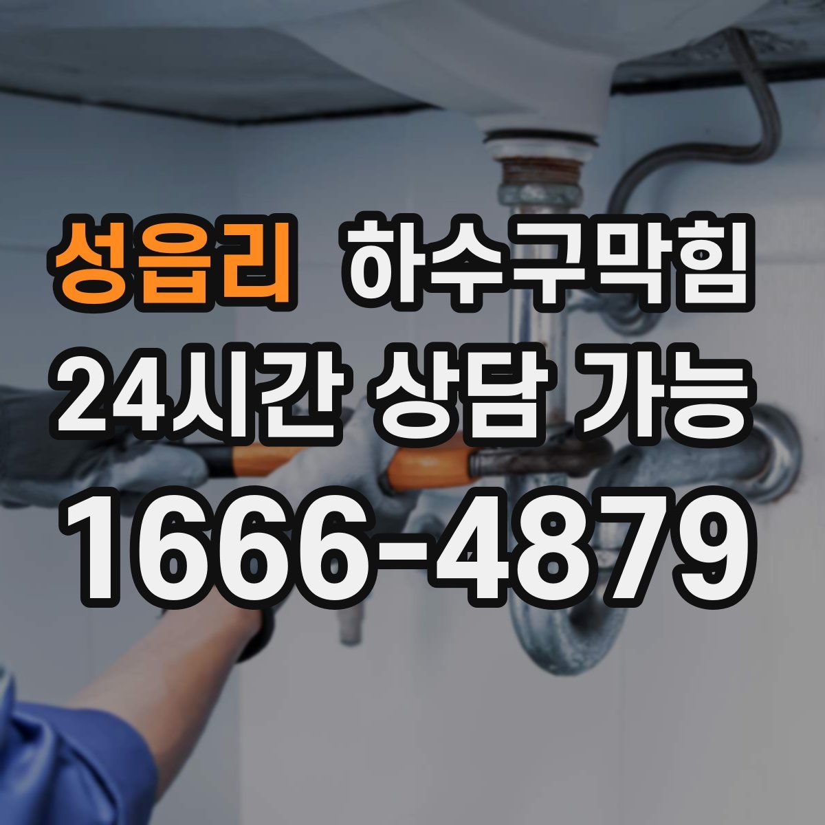 성읍리 하수구막힘