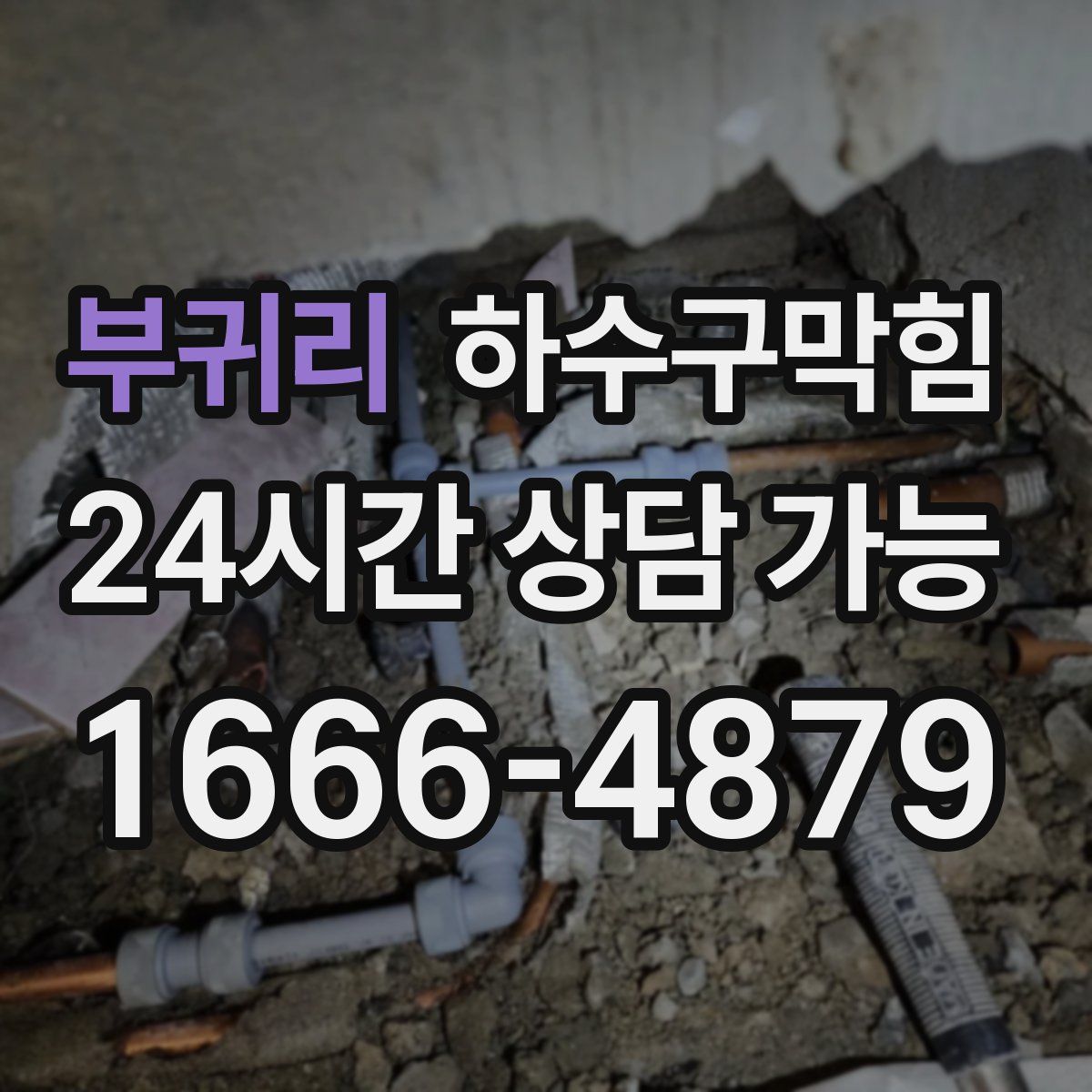 부귀리 하수구막힘