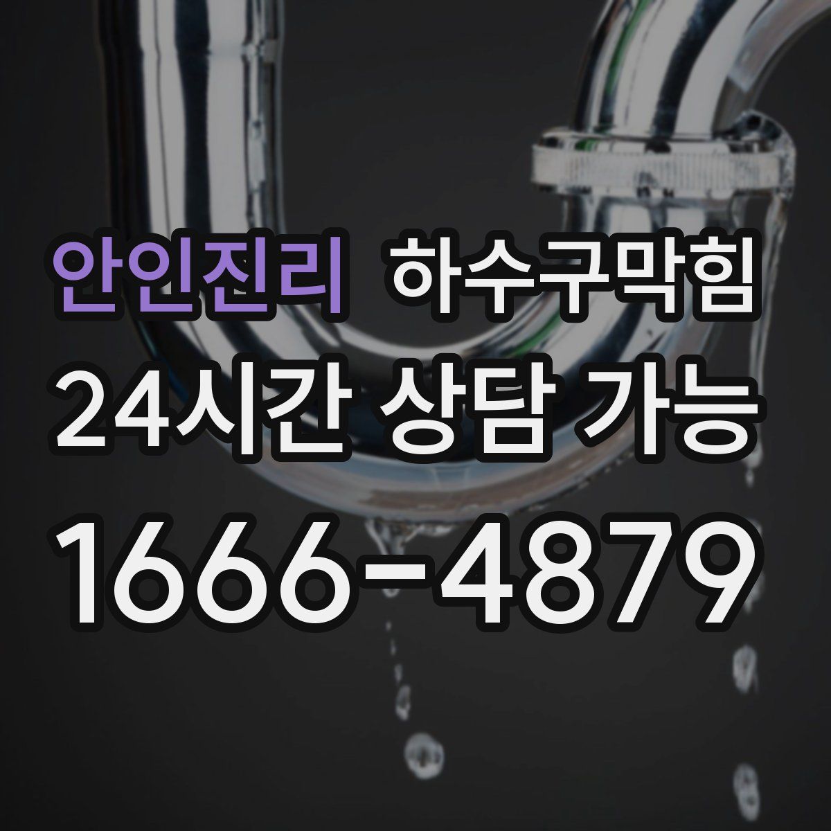 안인진리 하수구막힘
