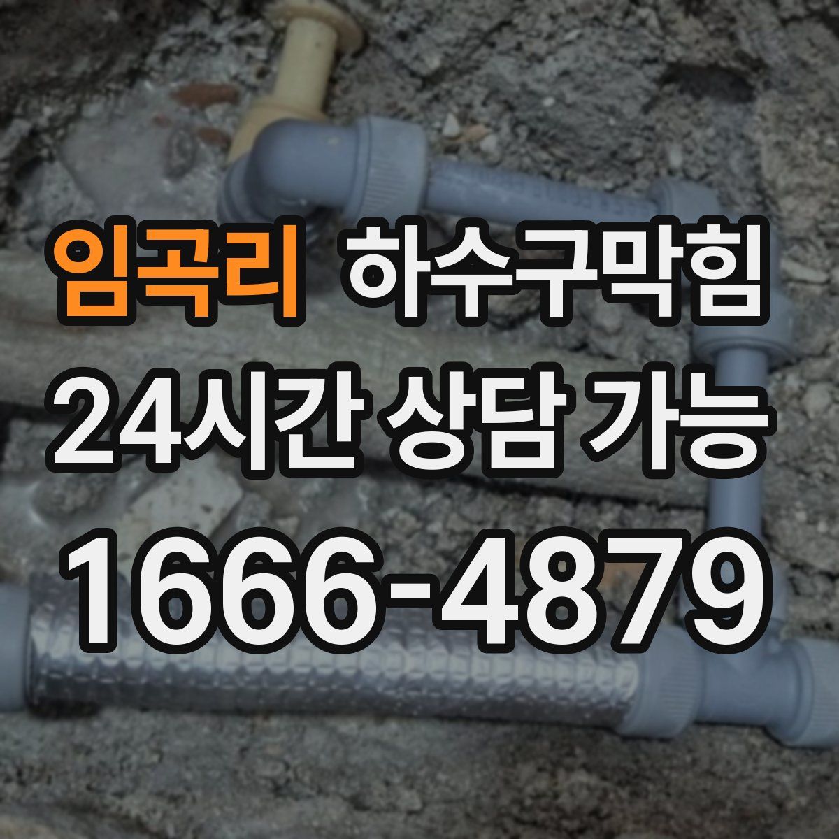 임곡리 하수구막힘