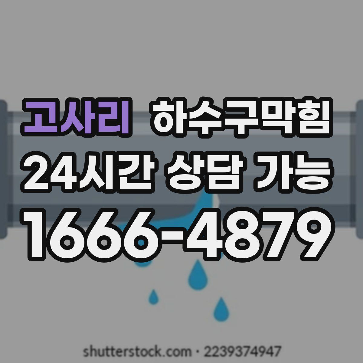 고사리 하수구막힘