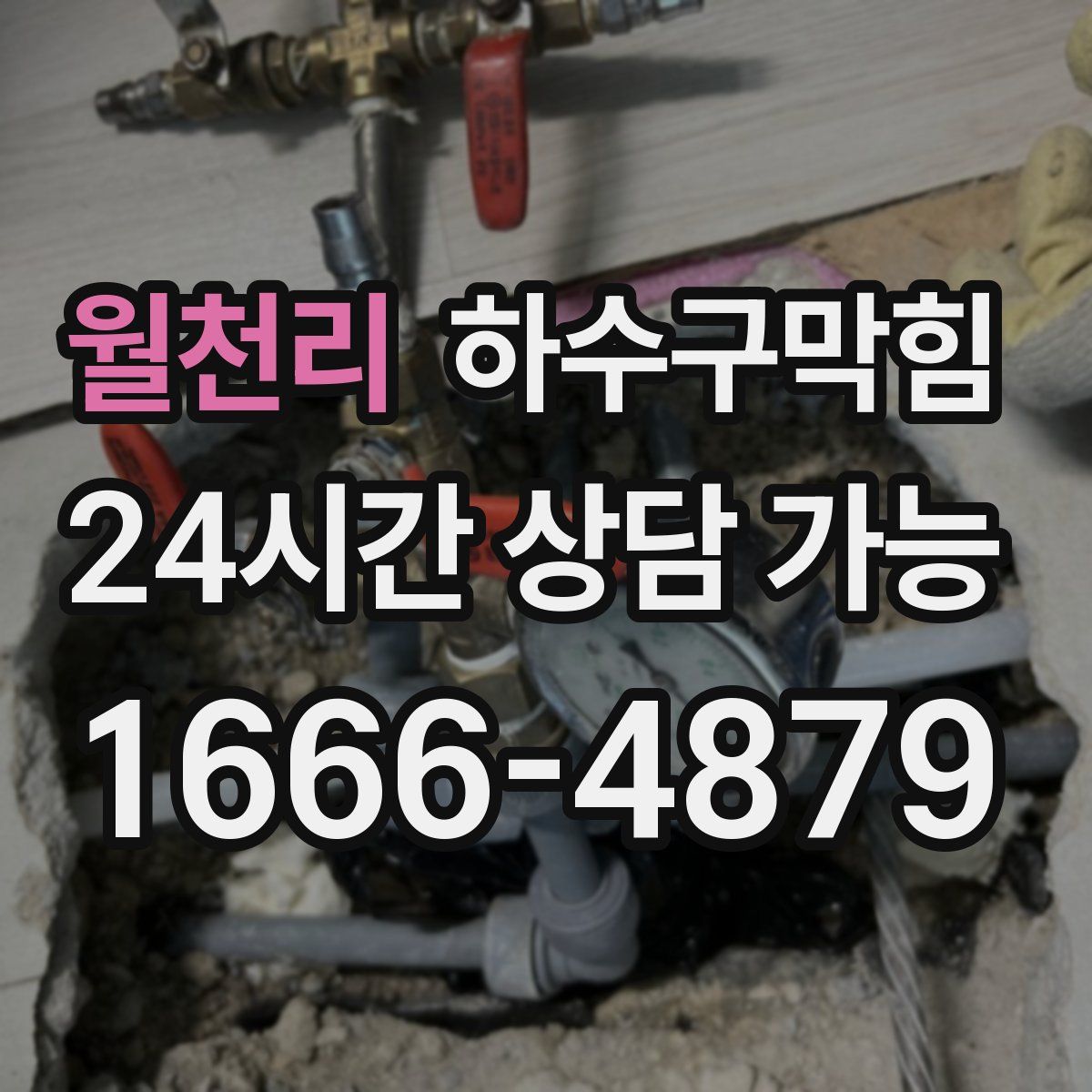 월천리 하수구막힘