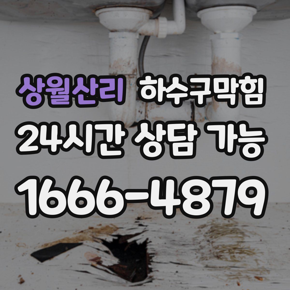 상월산리 하수구막힘