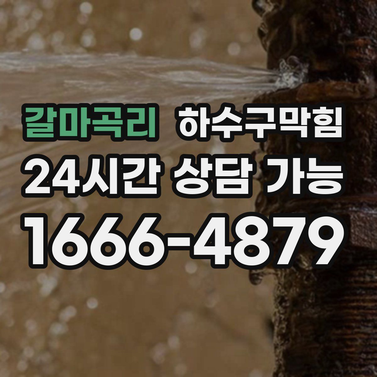 갈마곡리 하수구막힘