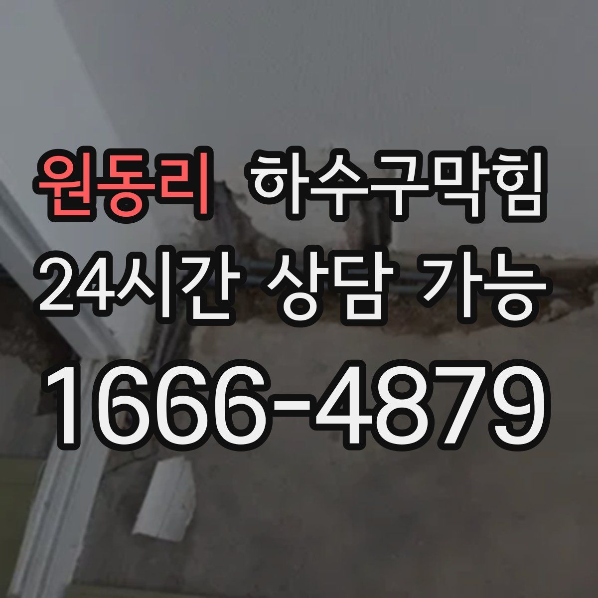 원동리 하수구막힘