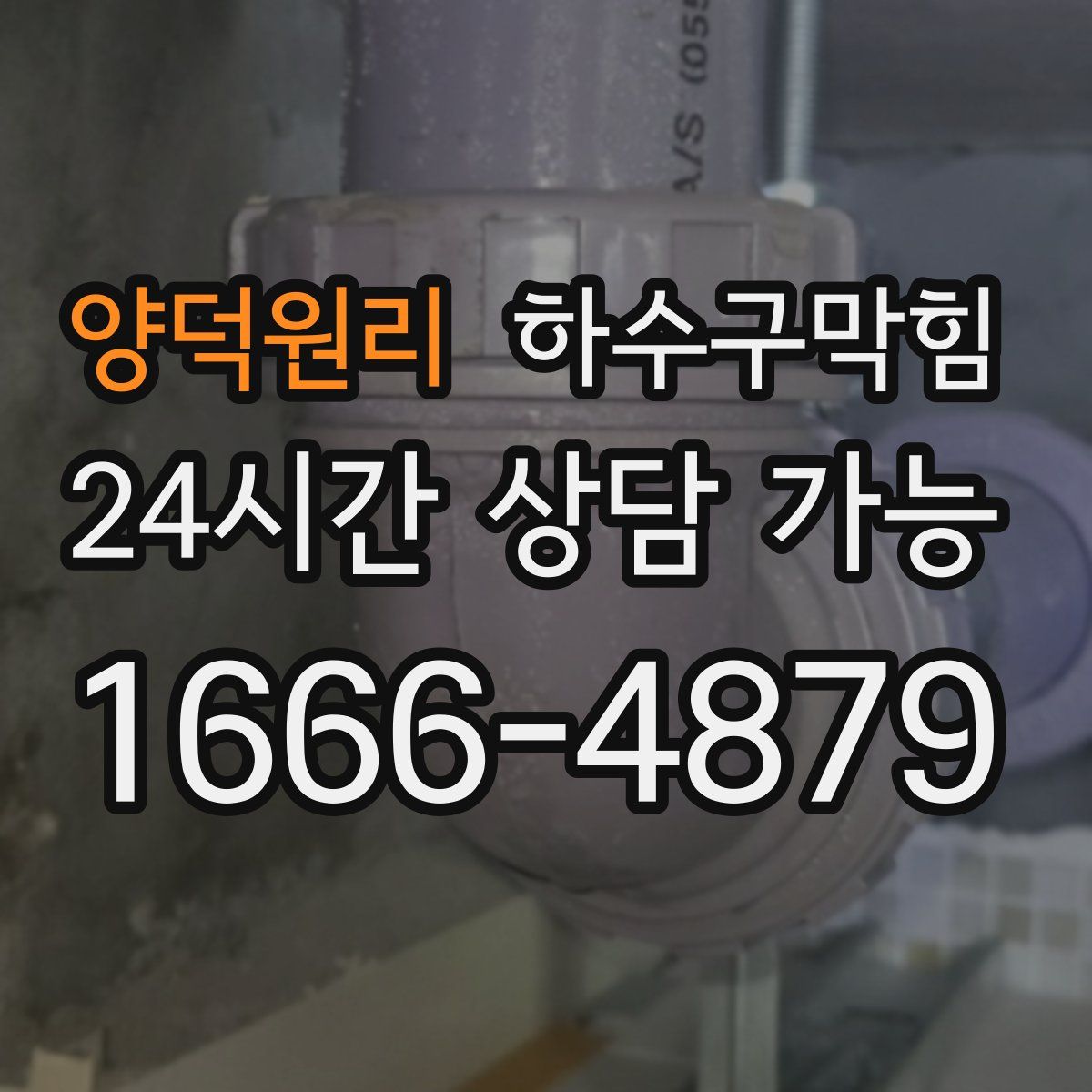 양덕원리 하수구막힘