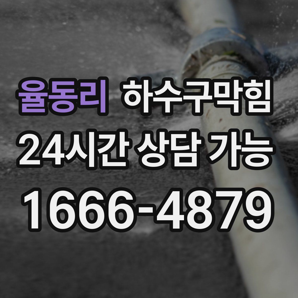 율동리 하수구막힘