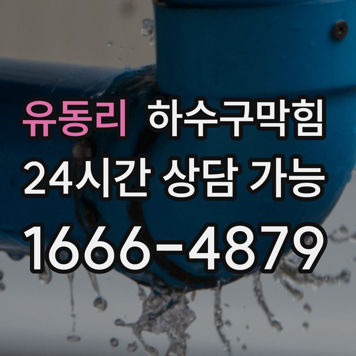 유동리 하수구막힘