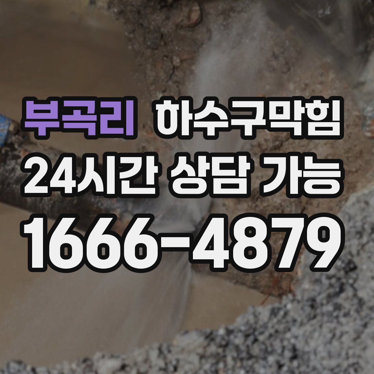 부곡리 하수구막힘