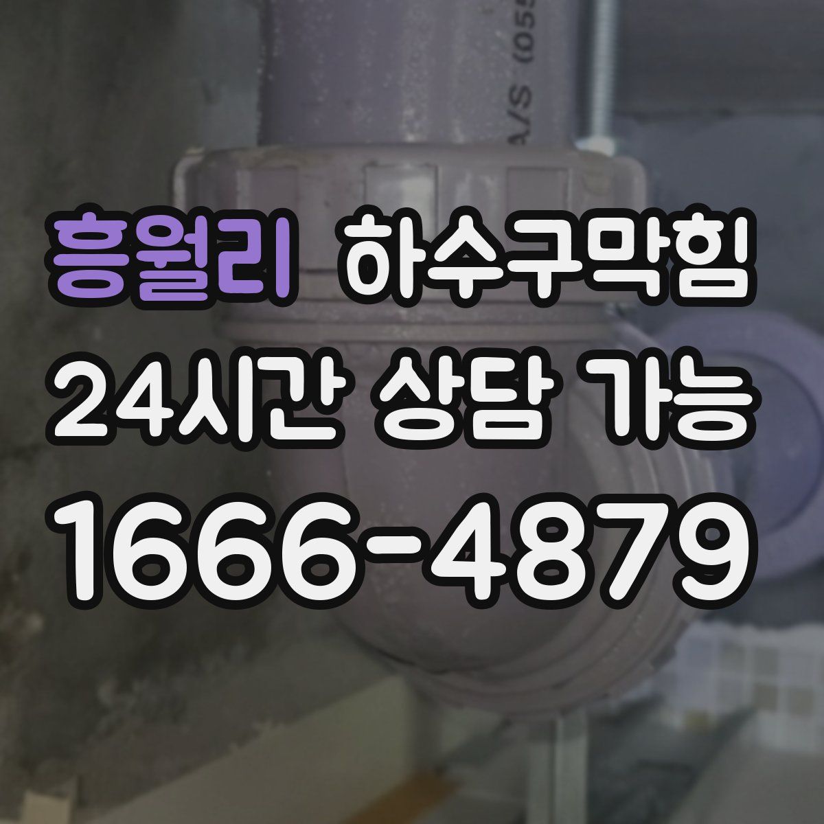 흥월리 하수구막힘