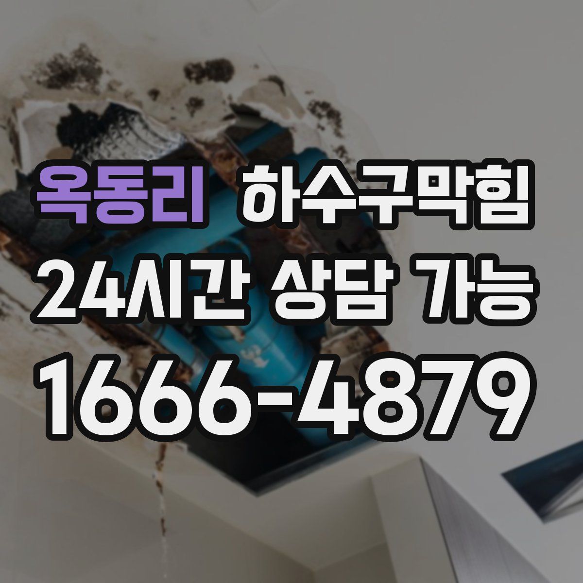 옥동리 하수구막힘