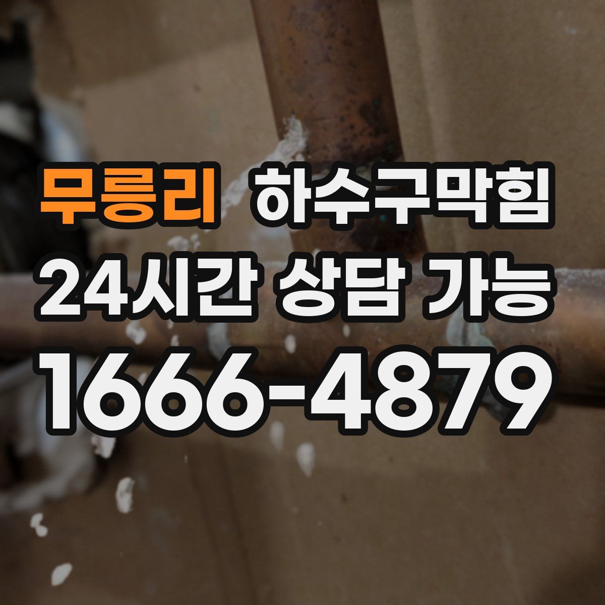 무릉리 하수구막힘