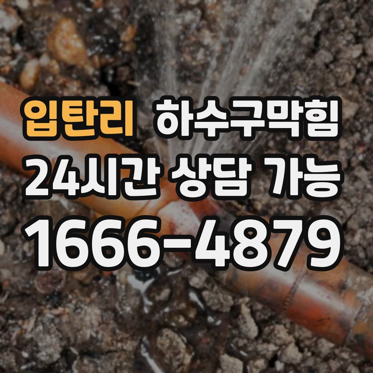 입탄리 하수구막힘