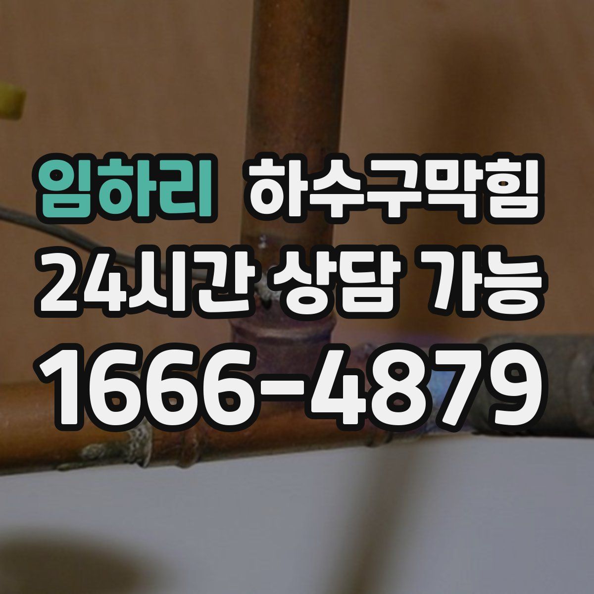 임하리 하수구막힘