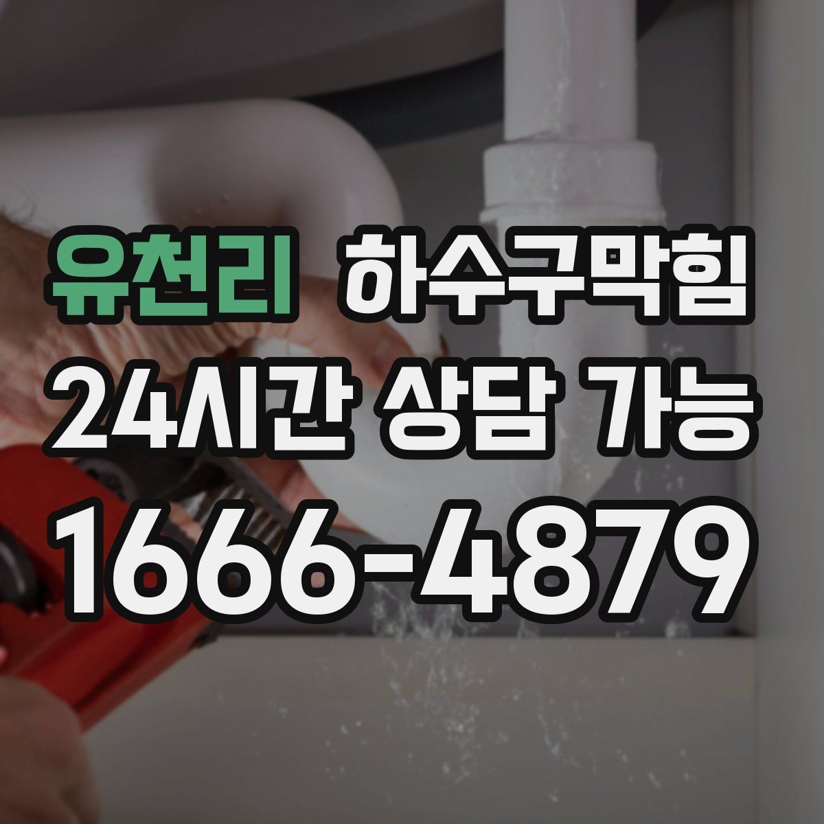 유천리 하수구막힘