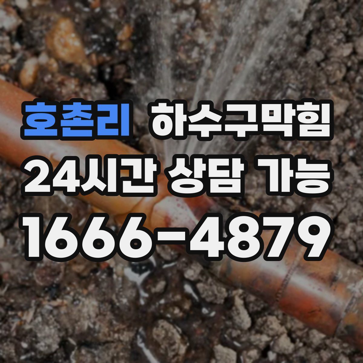 호촌리 하수구막힘