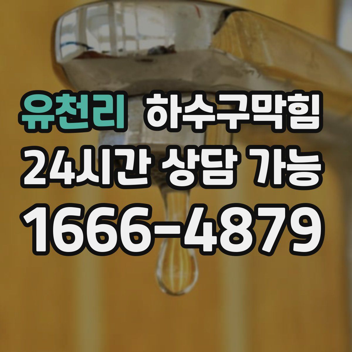 유천리 하수구막힘