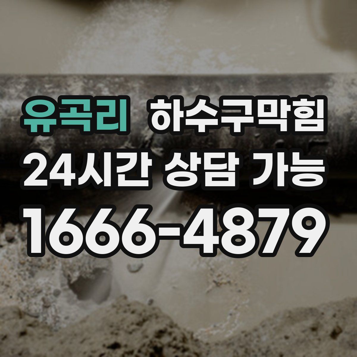 유곡리 하수구막힘