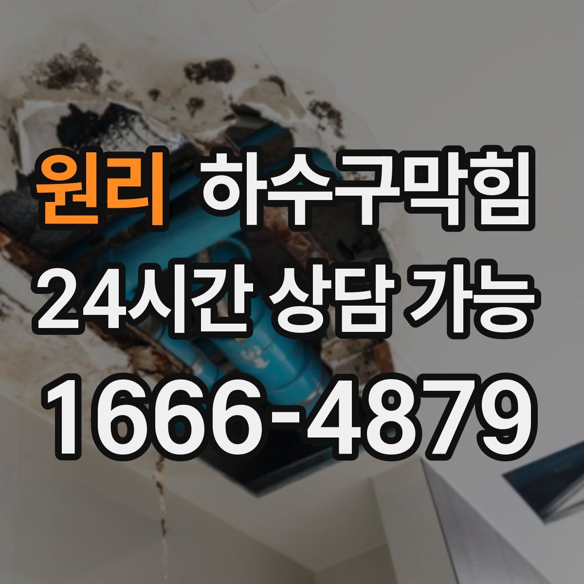 원리 하수구막힘