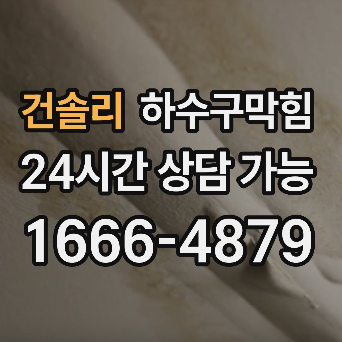 건솔리 하수구막힘