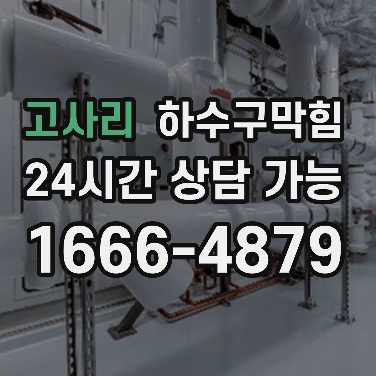 고사리 하수구막힘