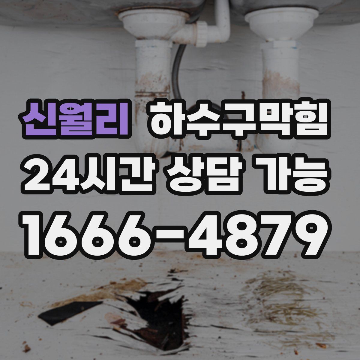 신월리 하수구막힘