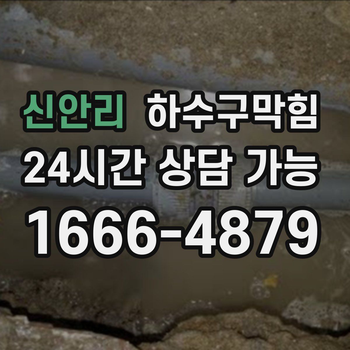 신안리 하수구막힘