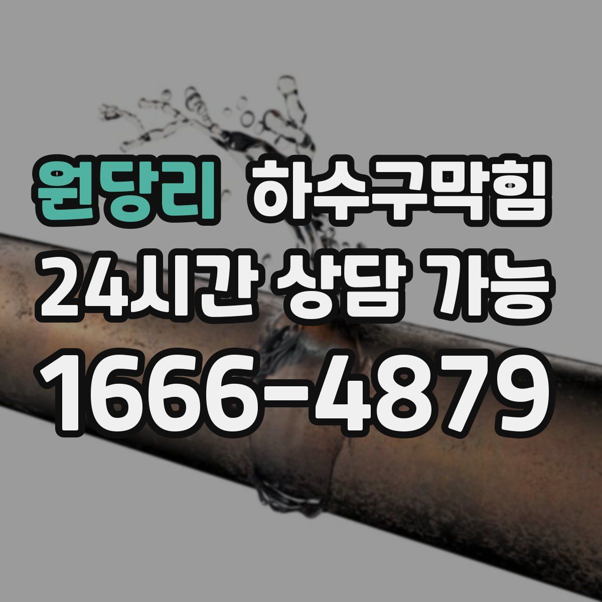 원당리 하수구막힘
