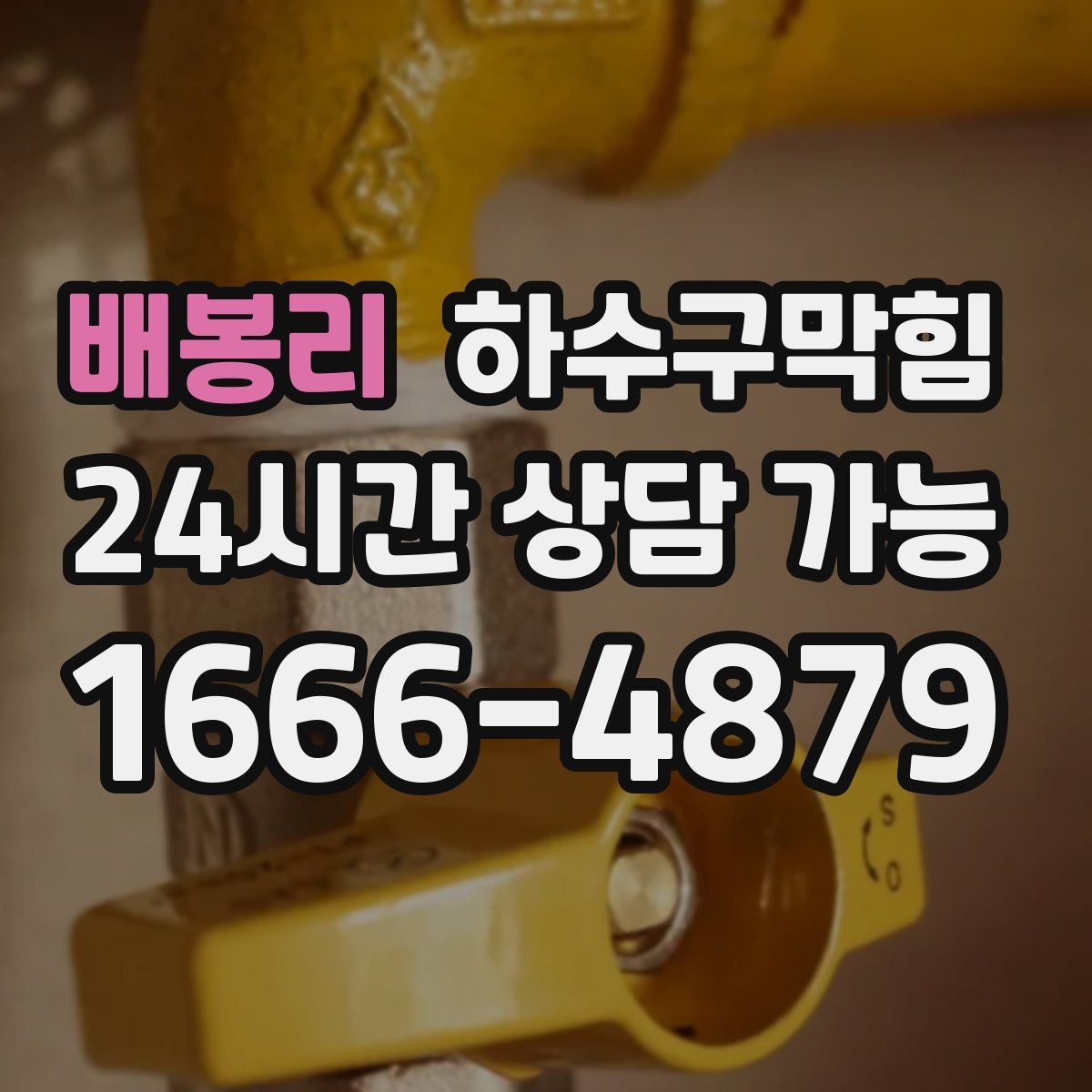 배봉리 하수구막힘