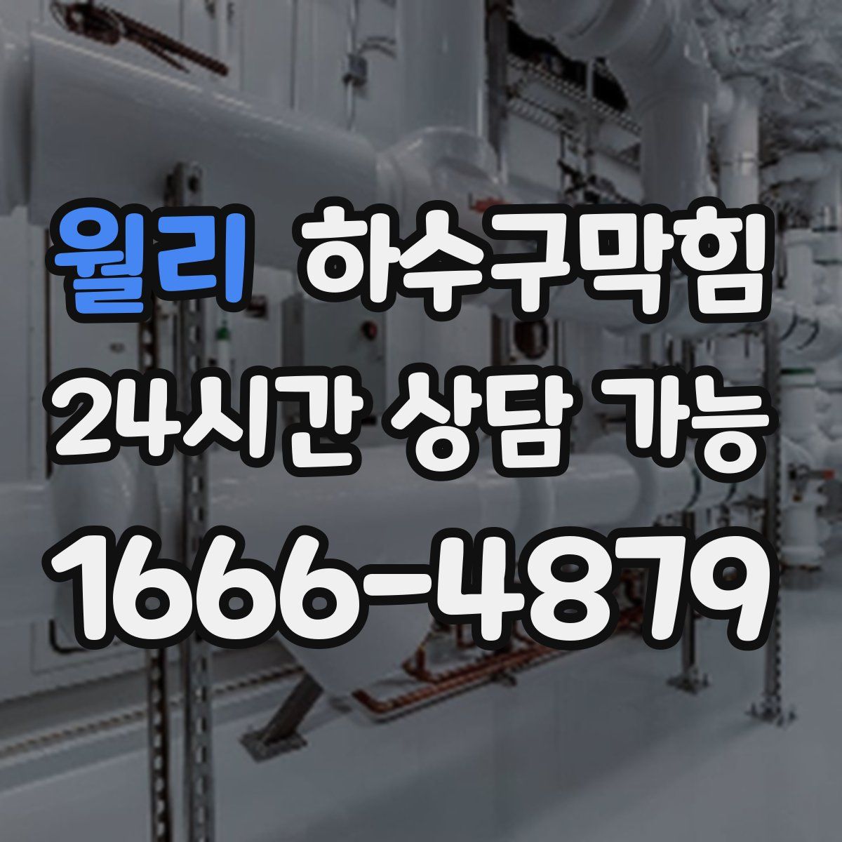 월리 하수구막힘