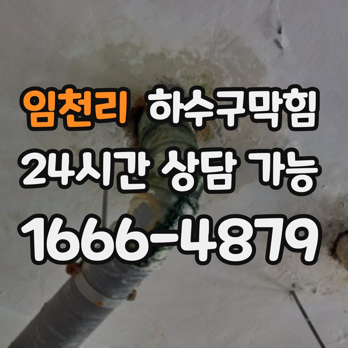 임천리 하수구막힘